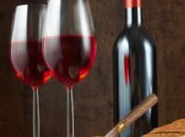 Wine & cheese degustation